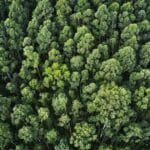 COP 30 Brasil: O futuro das políticas climáticas e a automação industrial